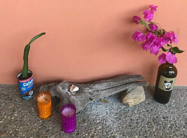 Homemade altar for incense and decoration. Large piece of wood, stones, purple and orange candles, a cactus planted in coconut milk can and flowers in a wine bottle.