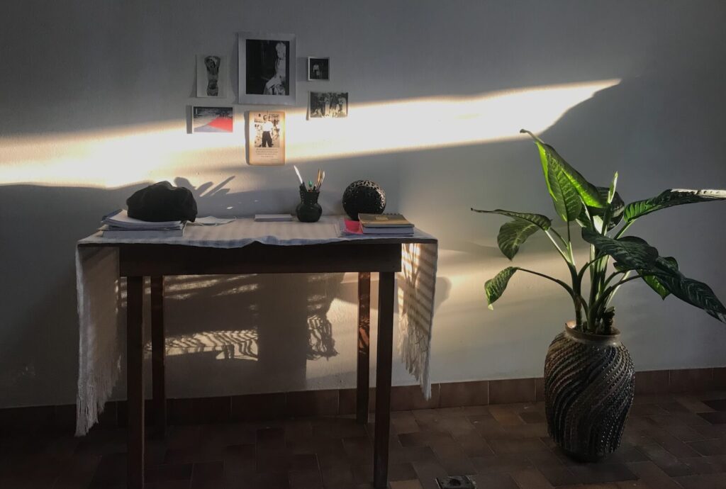 My desk on the morning light next to a green plant. Small pictures on the wall.