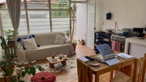 My living room in my apartment in Oaxaca, Mexico. White couch with pillows, many plants, small kitchen and my work table with computer.
