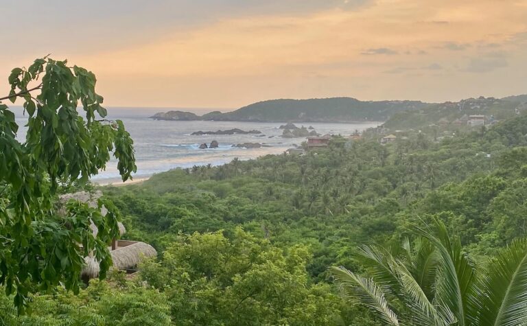 View of the green jungle and ocean before sunset in San Agustinillo Oaxaca.