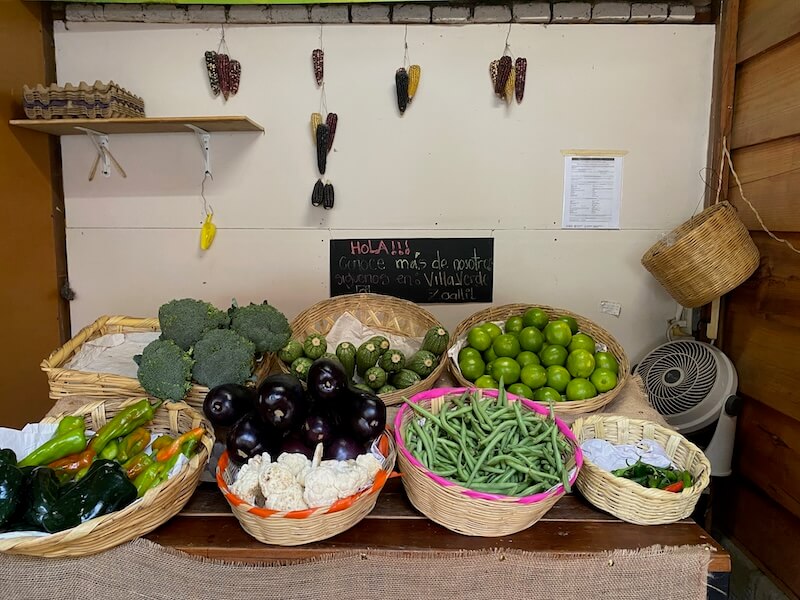 An assortment of fresh vegetables in baskets on display in a small shop. 
